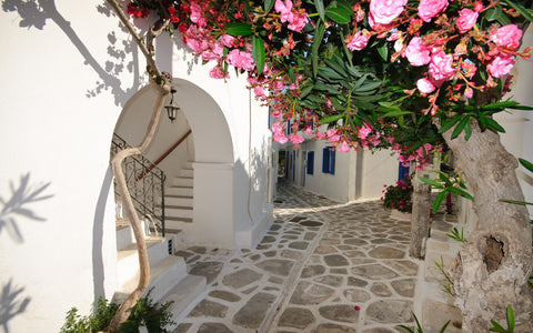 GREECE VILLAGE STREETS GICLEE CANVAS ART PRINT POSTER
