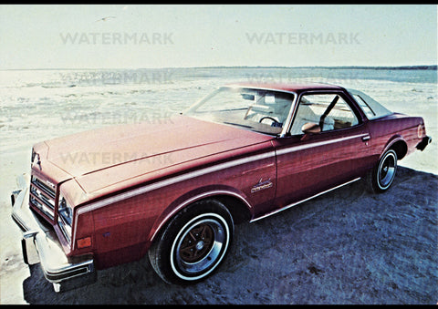 1977 BUICK FLORIDA SUNCOUPE USA REPRO AD ART PRINT POSTER