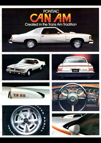 1977 PONTIAC CAN AM USA REPRO AD ART PRINT POSTER