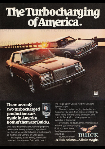 1978 BUICK REGAL & LESABRE SPORT COUPES USA AD ART PRINT POSTER