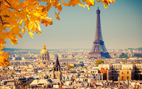 PARIS EIFFEL TOWER AUTUMN GICLEE CANVAS ART PRINT POSTER