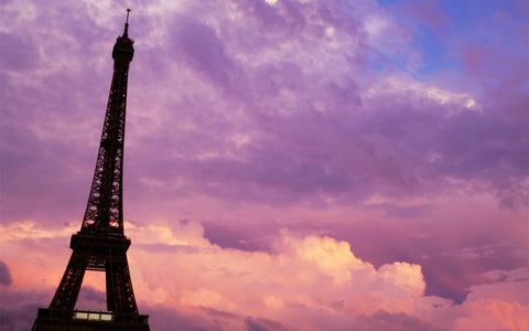 PARIS PURPLE PINK SUNSET GICLEE CANVAS ART PRINT POSTER