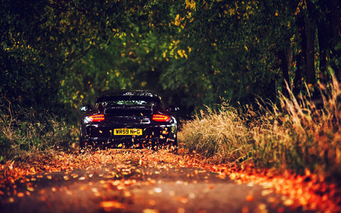 PORSCHE AUTUMN ROAD GICLEE CANVAS ART PRINT POSTER