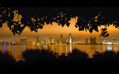 SAN DIEGO GICLEE CANVAS ART PRINT POSTER