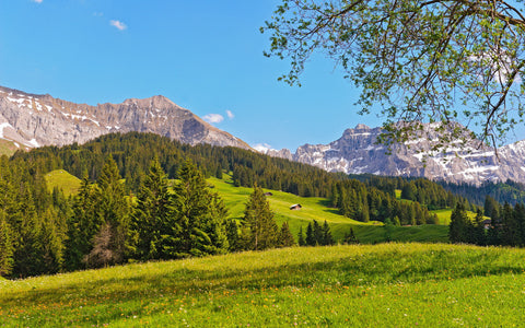 SWITZERLAND MOUNTAINS GICLEE CANVAS ART PRINT POSTER